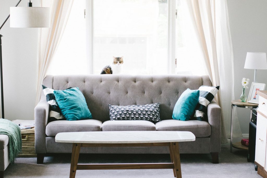 Grey sofa with teal cushions in window