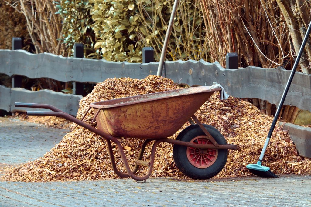 Wheelbarrow full of leaves
