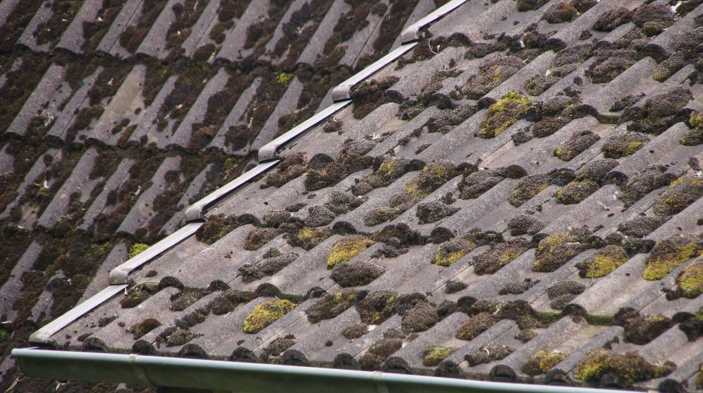 Roof covered with moss