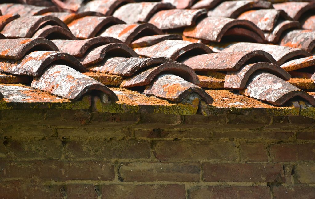 Terracotta roof tiles