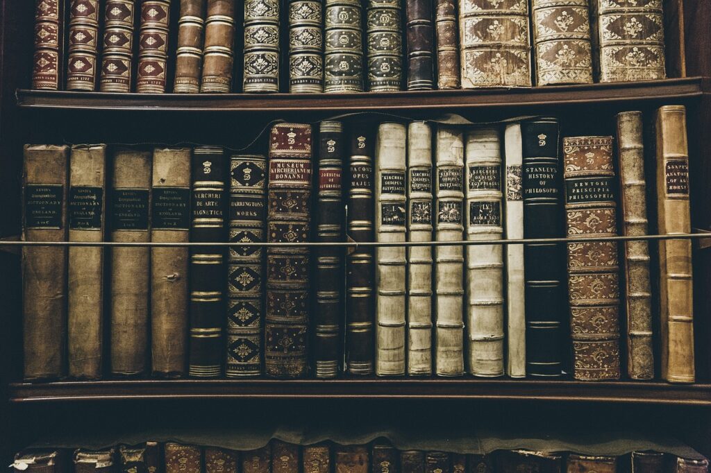 A shelf filled with old leather bound books